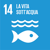 Agenda ONU 2030