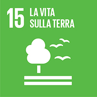 Agenda ONU 2030